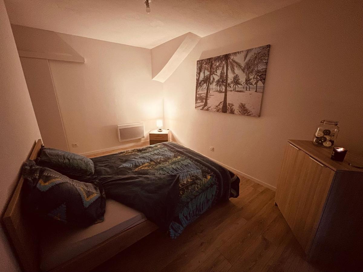 La Cave Aux Lumieres - Proche Centre-Ville - 2 Chambres - Wifi Renaison Kültér fotó